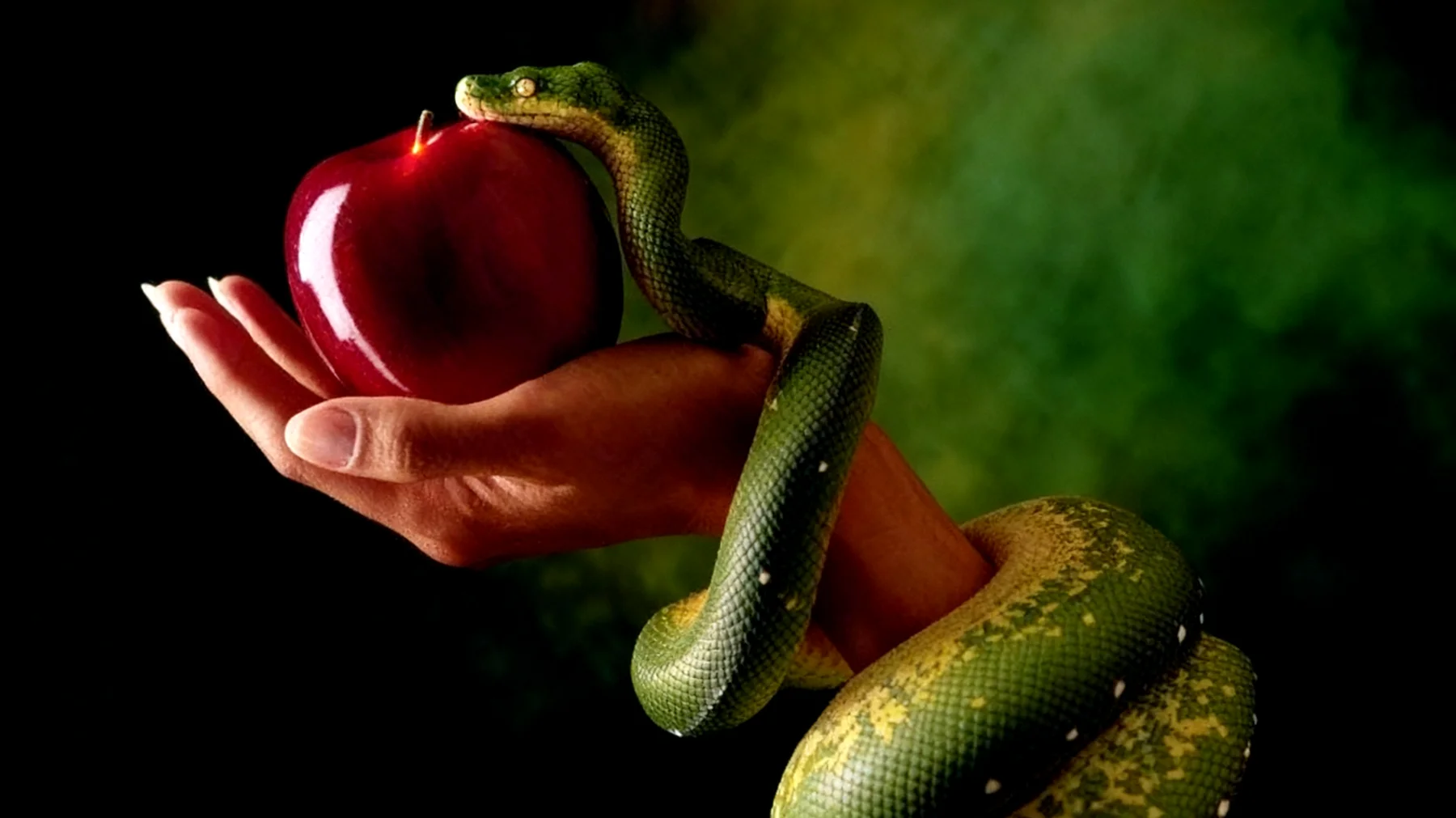 Forbidden Fruit2025-12-15T10:11:33.701Z"