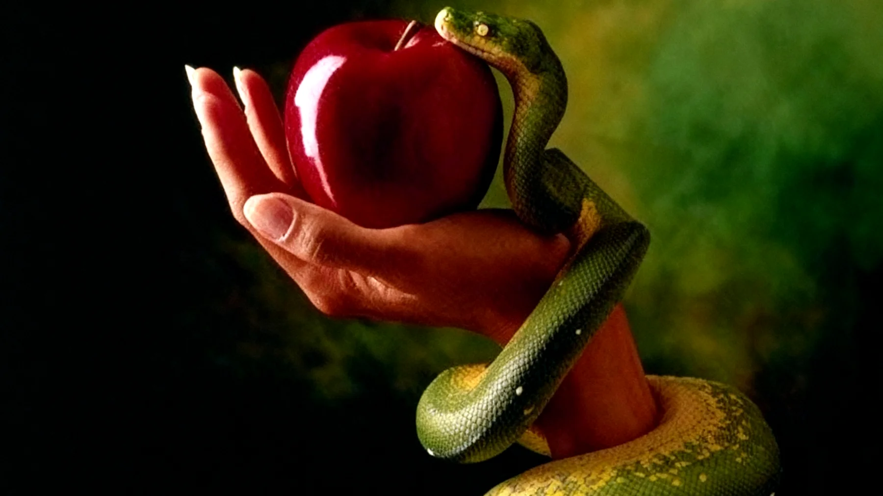 Forbidden Fruit2025-12-16T10:12:36.124Z"