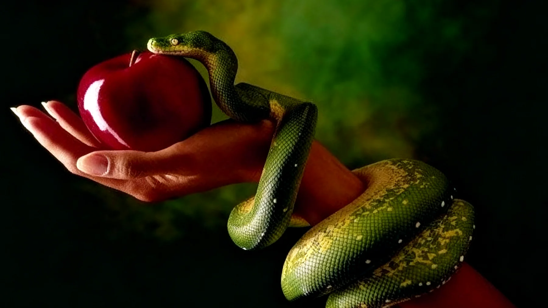 Forbidden Fruit2025-12-26T14:50:16.791Z"