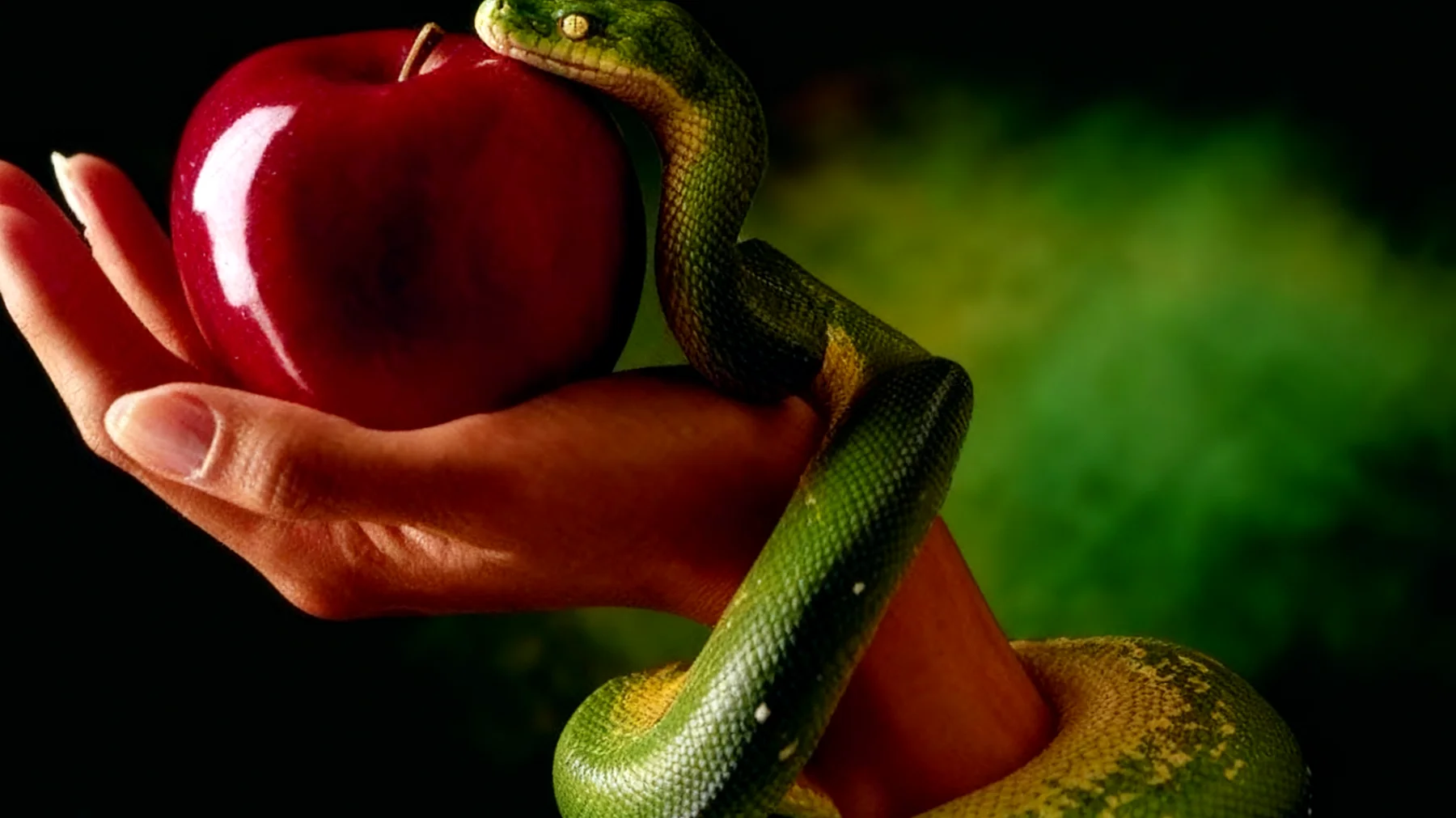 Forbidden Fruit2025-12-29T14:55:15.690Z"