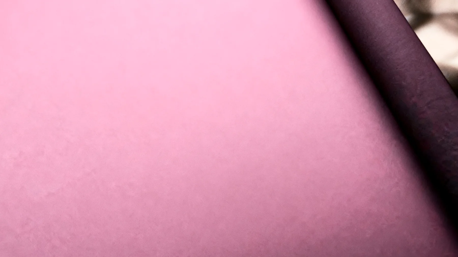 La forza di una donna2025-12-12T10:06:43.049Z"