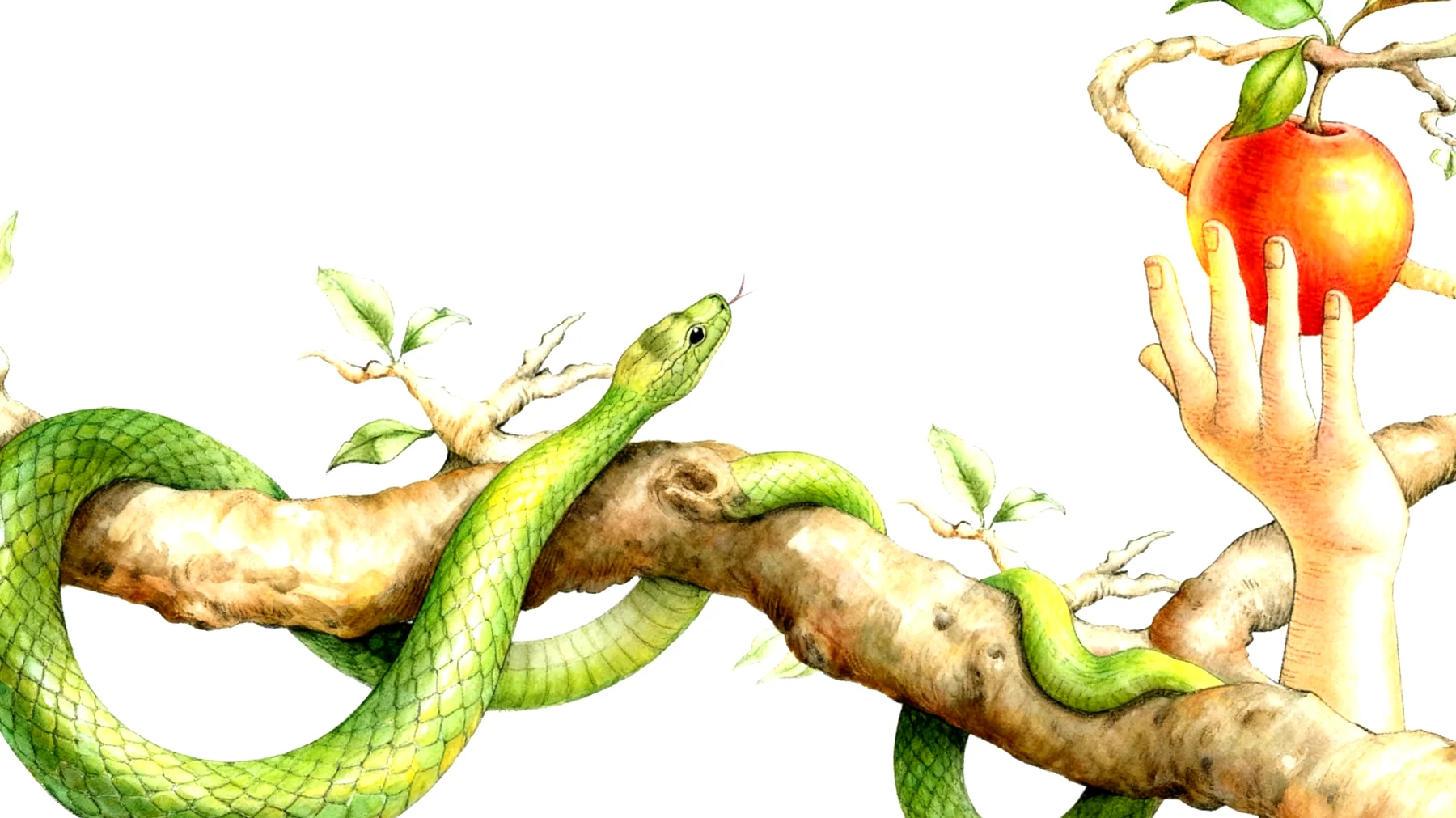 Forbidden Fruit2026-01-02T14:48:25.901Z"