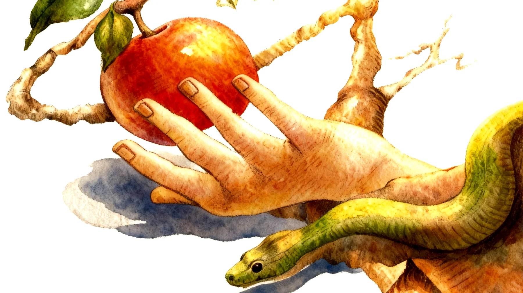 Forbidden Fruit2026-01-04T14:59:26.093Z"