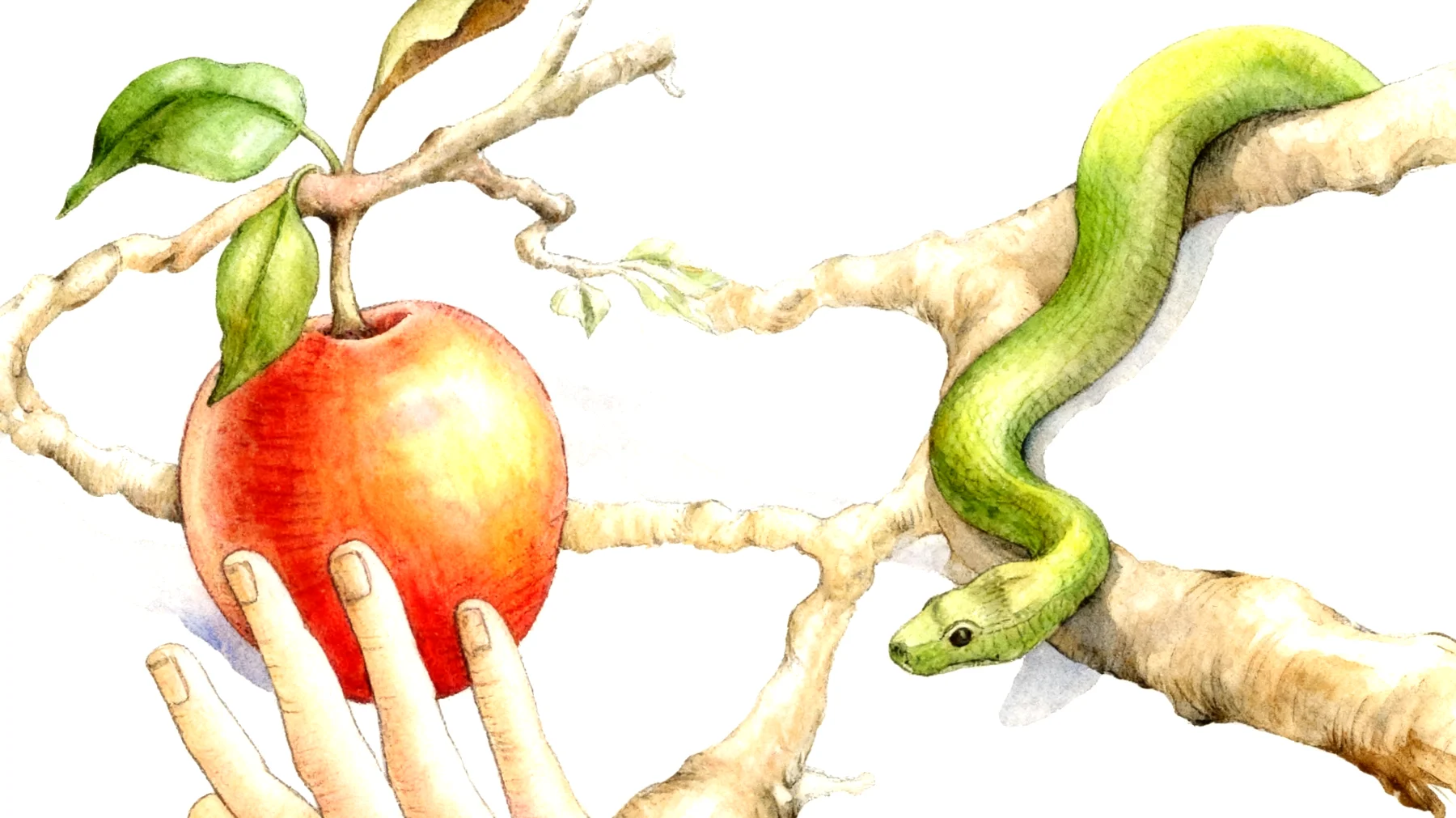 Forbidden Fruit2026-01-09T14:49:17.494Z"