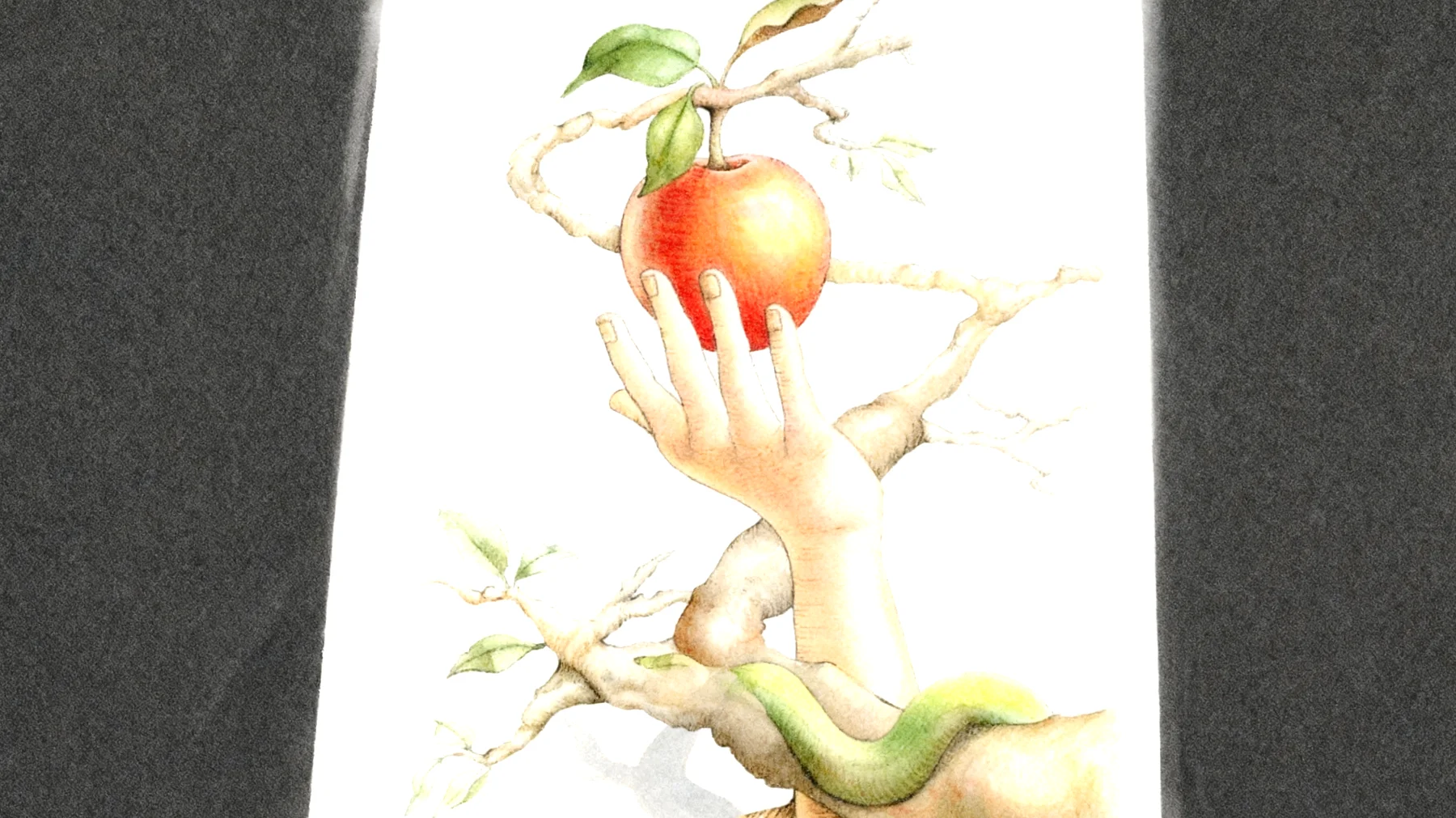 Forbidden Fruit2026-01-13T14:58:30.451Z"